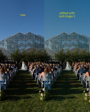 Load image into Gallery viewer, Lush Linger Preset Pack
